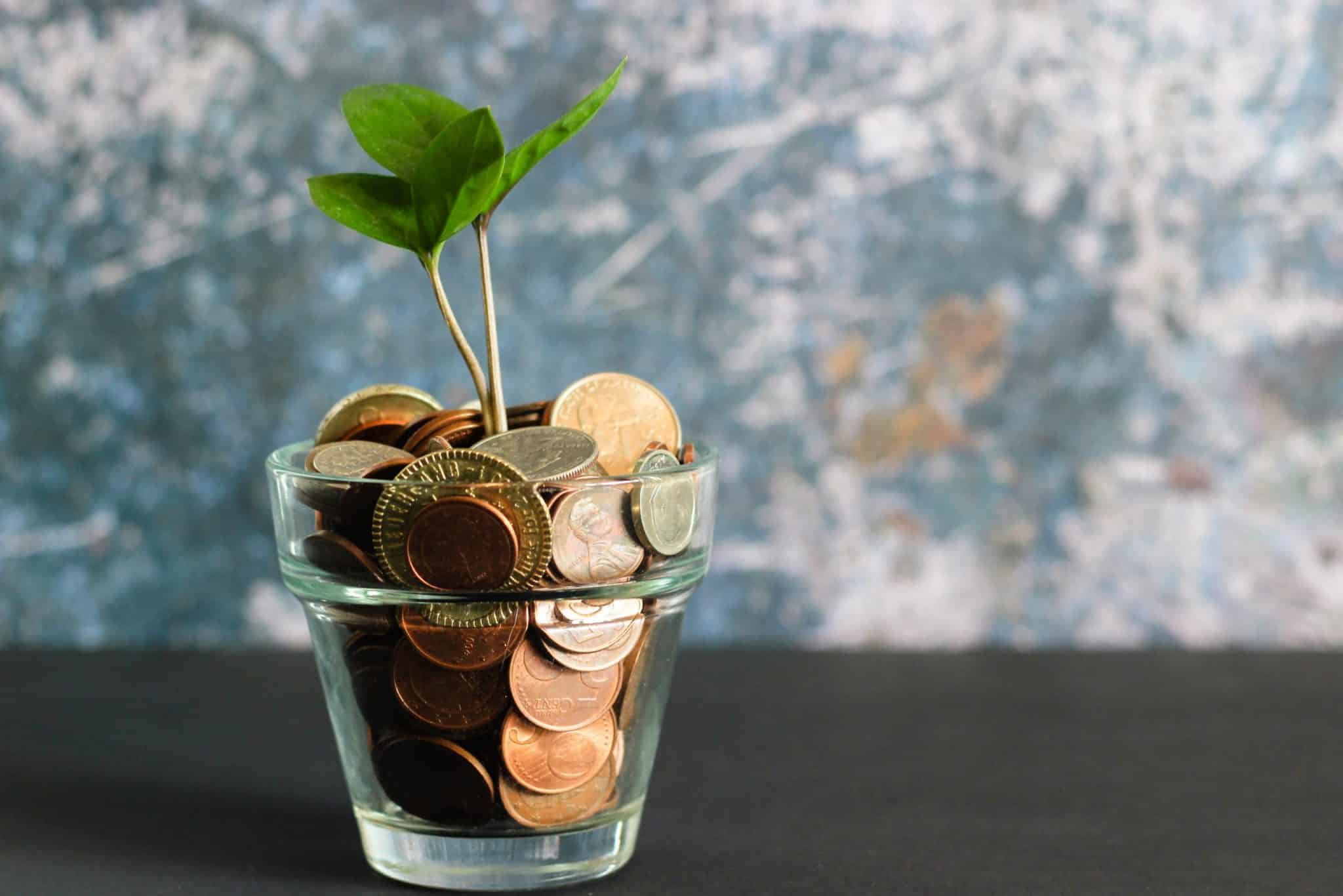 A glass filled with coins with a small plant growing out if it